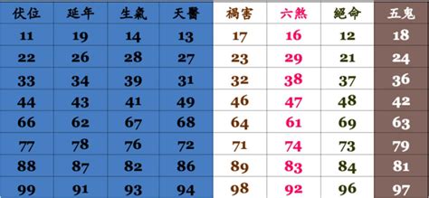 易經 車牌|易經數字DNA解析